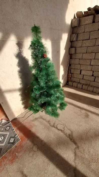 Yangi yil archasi sotiladi