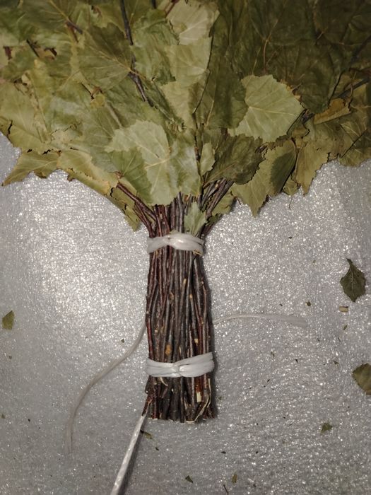 Продам берёзовые банные веники