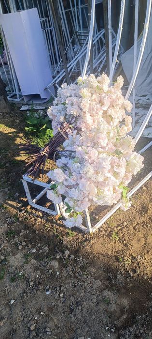 Хитой суний гуллари