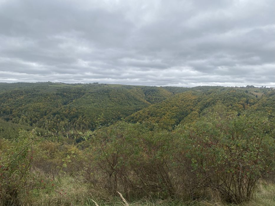 Inchiriez TEREN in zona Marcesti Dangau Rasca, judetul Cluj