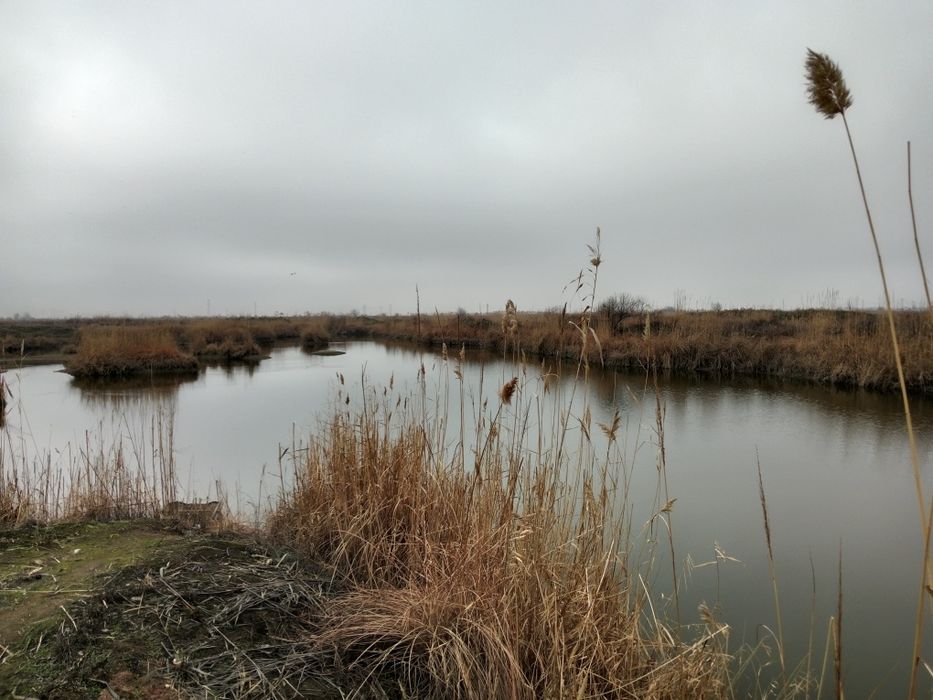 Рыбное хозяйство. Скотоводство