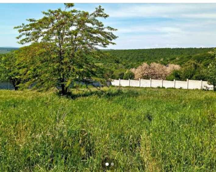 Продава се Земеделски имот в с. Ведрина, Област Добрич -  кв.м за 4 €/дка - Снимка #1