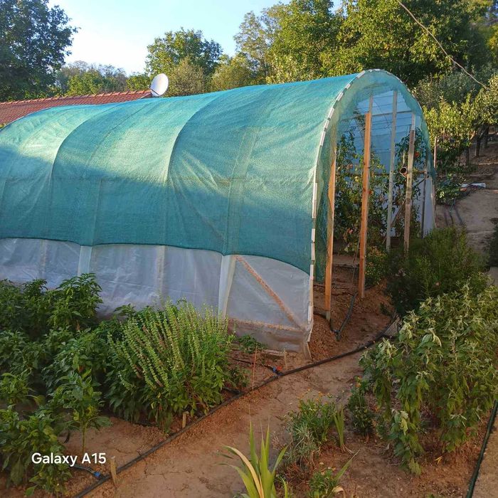 Продава се Къща в с. Калипетрово, Област Силистра - 50 кв.м за 918 €/кв.м - Снимка #8