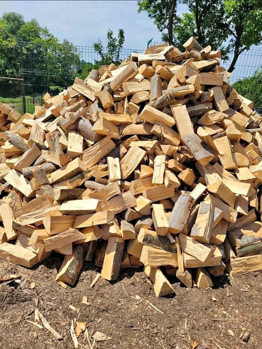 Lemne de foc sparte