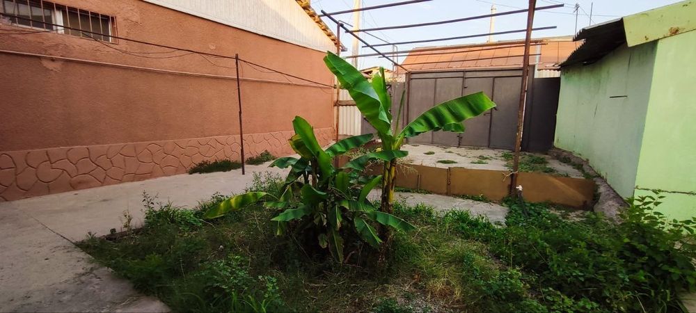 Дом на Байсунской 3,5соток