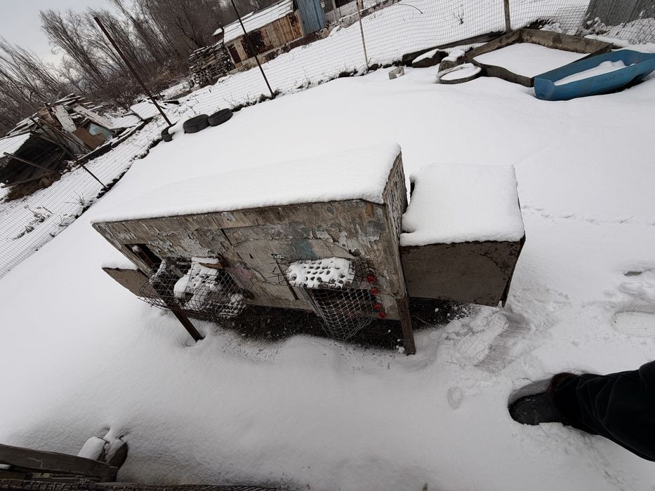 Продам кролячие клетки