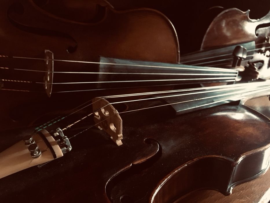 Cvartet de coarde evenimente, muzica ambientala.