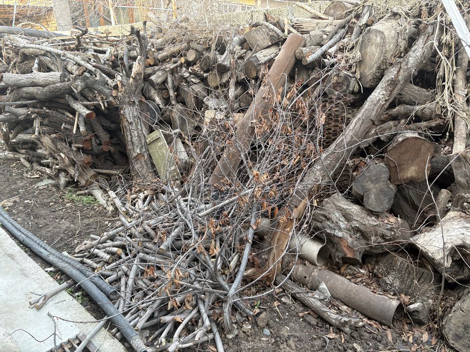 Oʻtin sotiladi xar xil daraxtlarniki