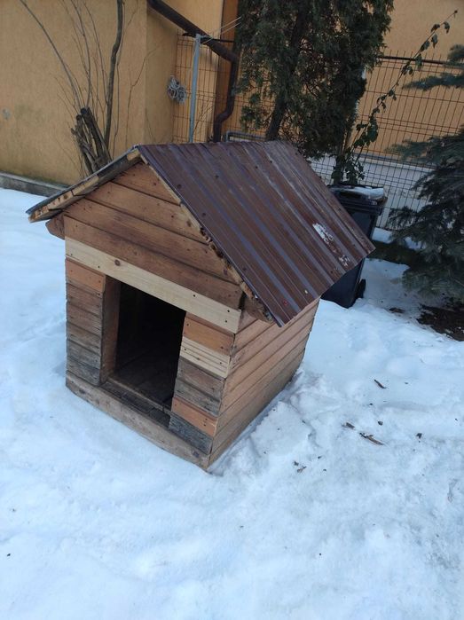 Vand cusca caine talie mare