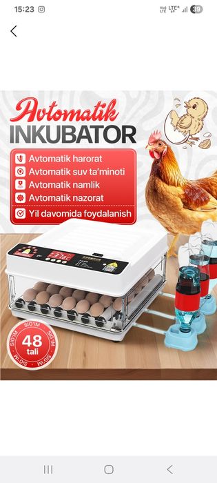 Прадаёца инкубатор
