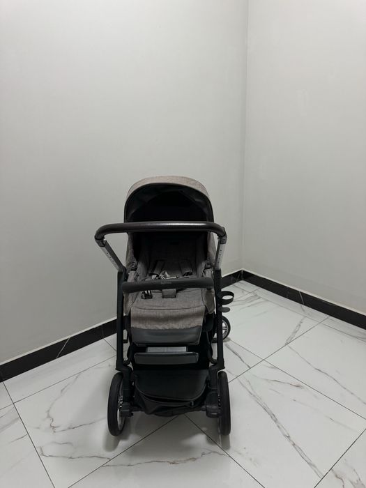 Inglesina aptica