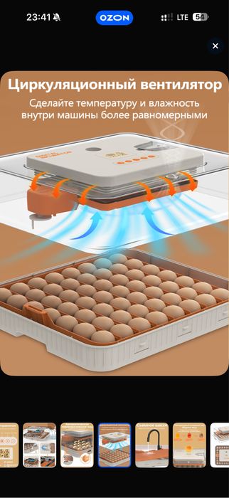 Инкубатор полный автомат 56 талик