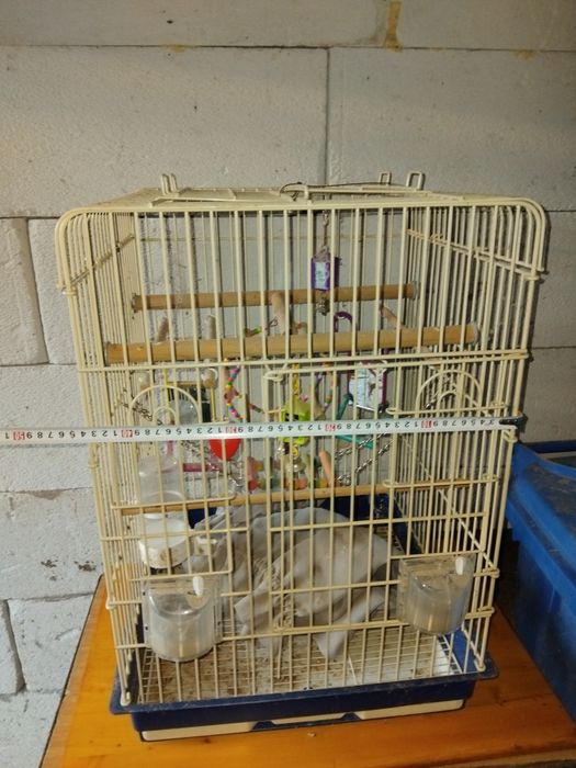 Colivie pentru perusi ,agapornis,micul alexandru