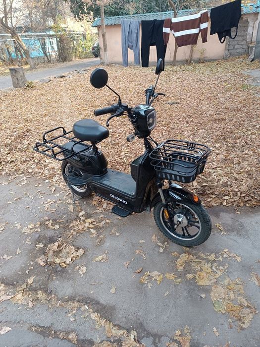 Drongo electric velo