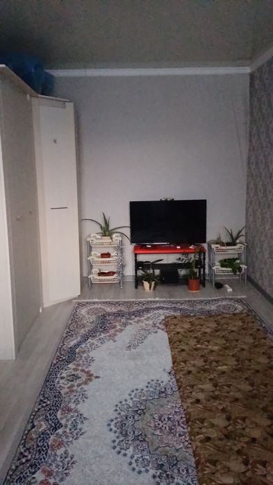 Продаю квартиру МСО (статус квартиры) и дачу на Кривом озере