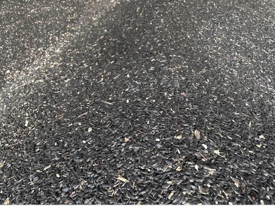 Grau, porumb, floarea soarelui, uruiala, baloti de paie!!!