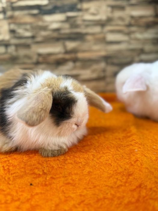 Подарок для детей