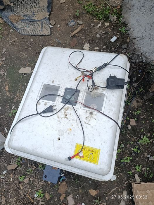 Инкубатор для цыплята