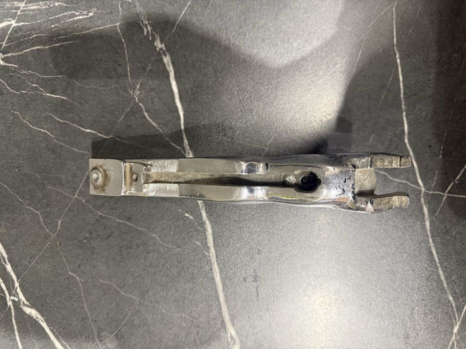 Олень оригинал продам 40000