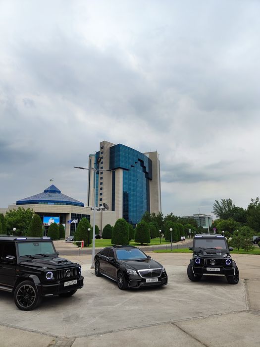 Той Кортеж Родом Toy Kortej Rodom888