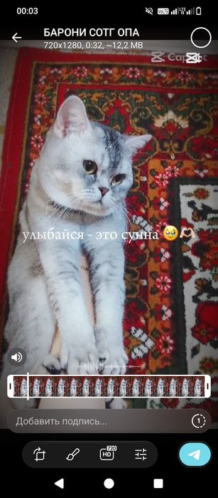 СОТИЛАДИ Мушу болари.