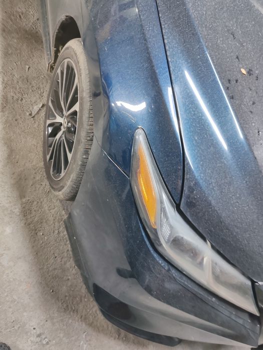 Молярно покрасочные работы