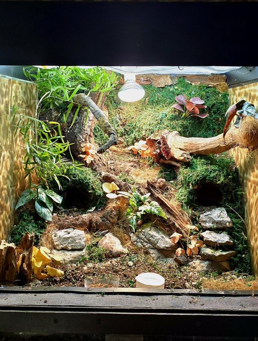 Аквариуми и терариуми