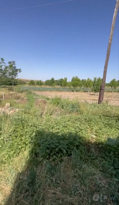 УНИКАЛЬНЫЙ инвестиционный комплекс в Ташобласти