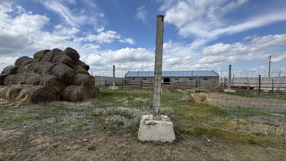 Продам ферму, базу, хозяйство,дом