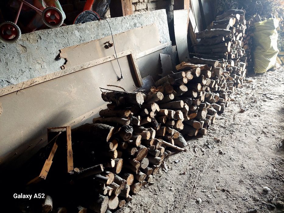 Quruq o'tinlar mevali darahtlarniki