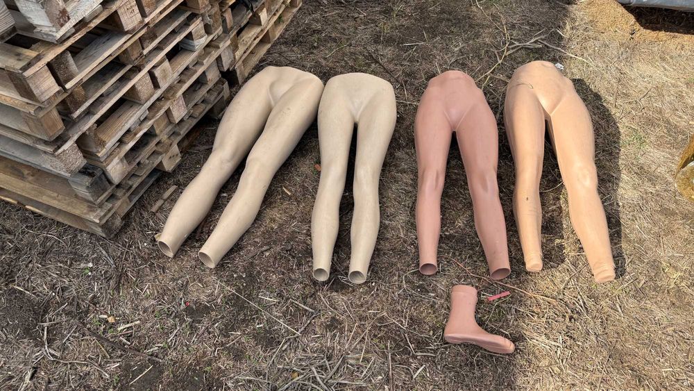 Busturi Barbat, busturi Dama, manechin, Manechini, manechine, bust