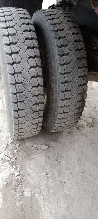 Xarajati yuq ishlab yurgan moshena