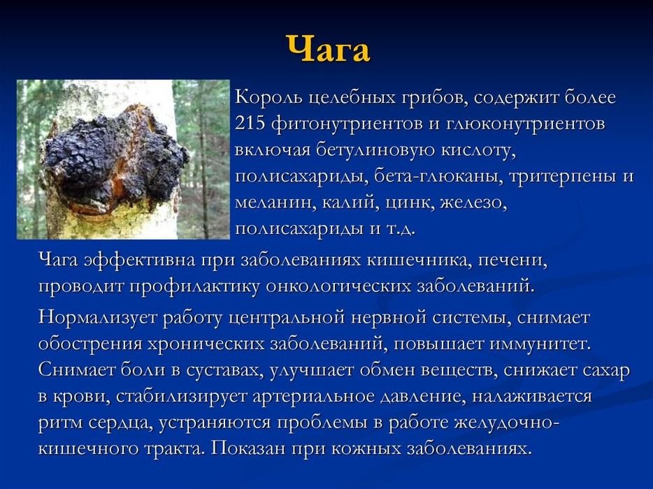 Ежовик гребенчатый
