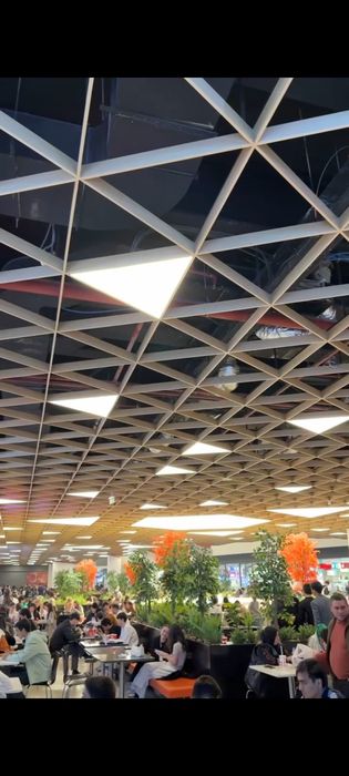 Грилято Снежинка, Грильято, Грилята Янги Снежинка