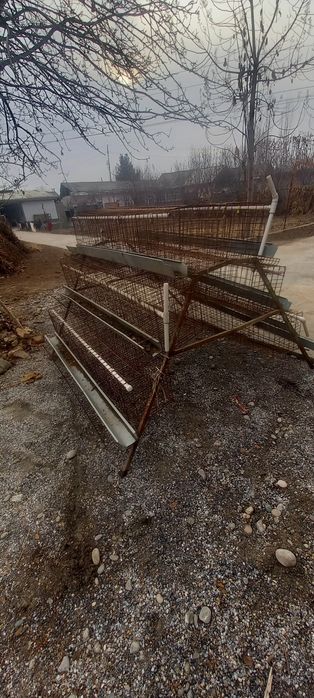 Katak 6 dona taklanib yigiladi