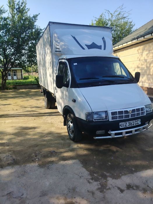 Gazel sotka sotiladi