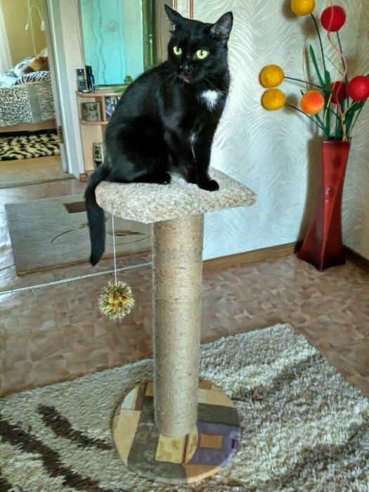 _Когтеточка_Царапалка_