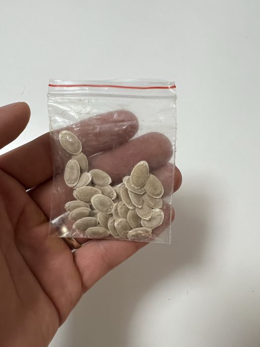 Lufa, seminte luffa, lufa intreg.