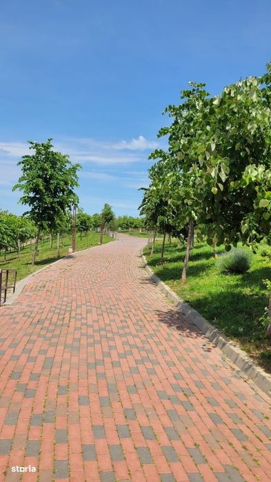 Ap. 2Cam Decomandat - Bloc In Curs De Finalizare / Parcul Teilor! - More