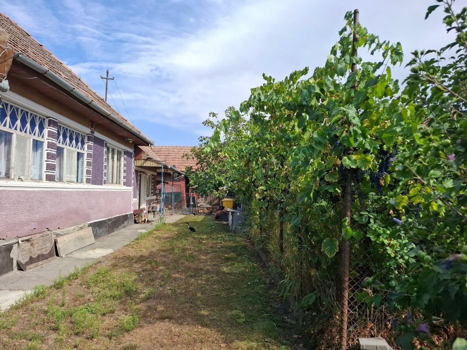 Casa de vânzare Vidrasău