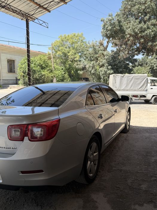 Malibu 1 xolati ideal kraska toza
