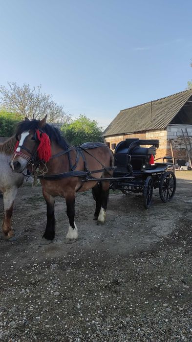 Trăsură nemțească