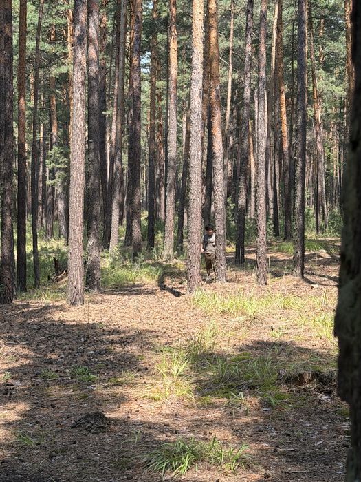 Домики в Боровом