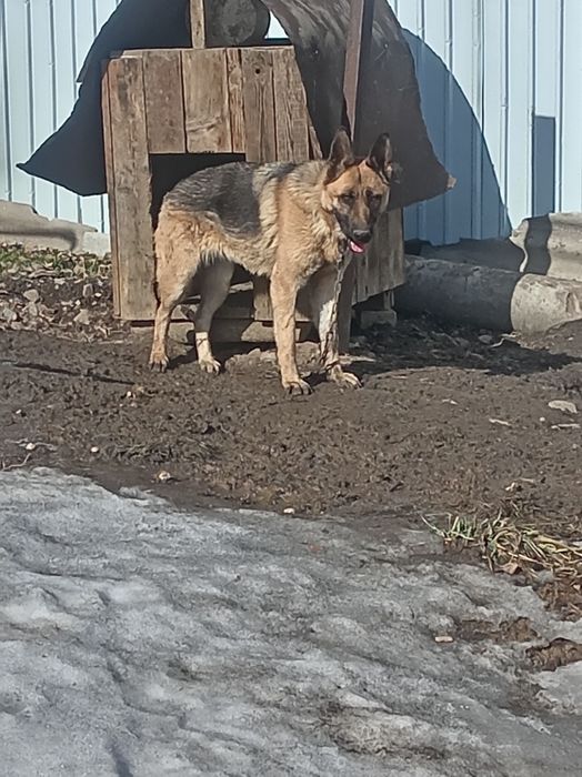 Продам Продам Продам