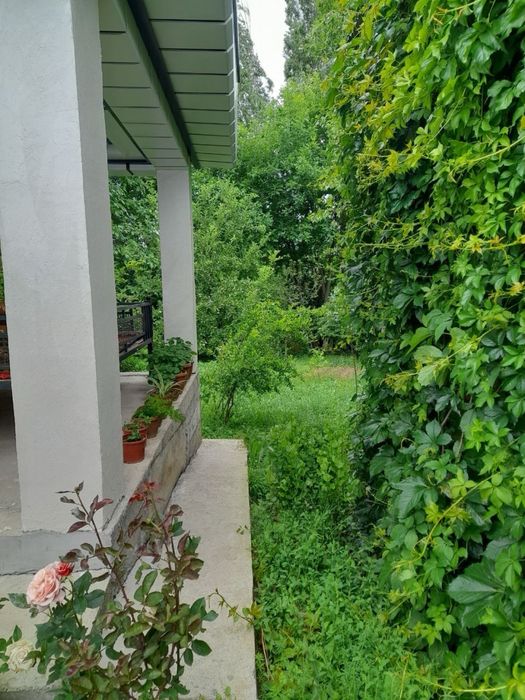Dacha без посредников
