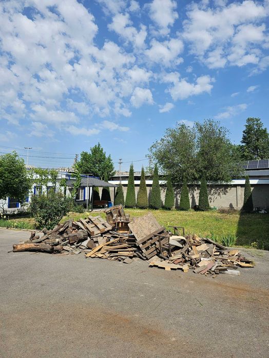 Tekinga o'tin beriladi; o‘zingiz olib ketasiz.