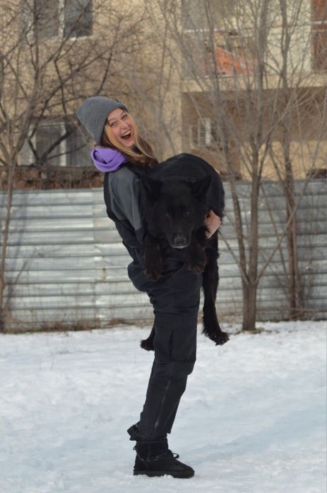 Кинолог/Дрессировка собак