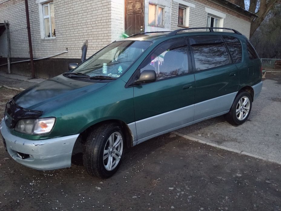 Tayota ipsum, варианты обмена