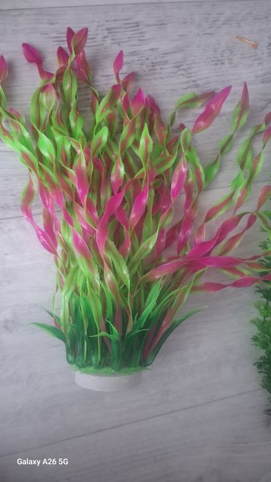 Растения в аквариум