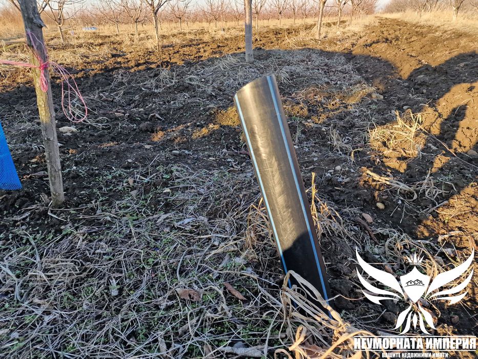 Продавам черешова градина 5800кв.м. в гр.Асеновград